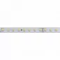 Mobile Preview: BASIC LED Streifen Warmweiss 3000K 24V DC 10W/m HE IP00